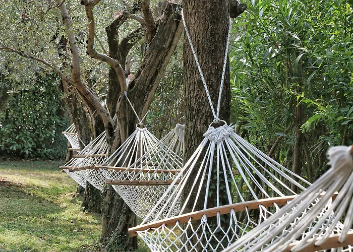 Caesius Thermae & מלון